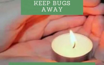 Candles that keep bugs away