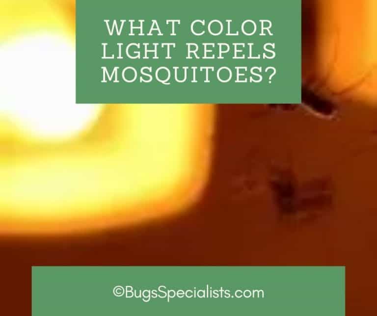 ¿Qué luz de color odia los mosquitos?
