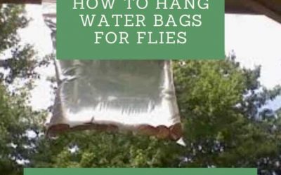 How to Hang Water Bags for Flies