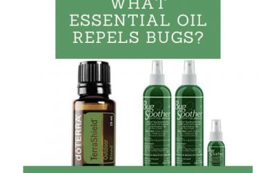 What Essential Oil Repels Bugs?
