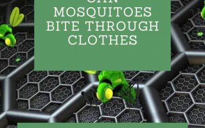 Can Mosquitoes Bite Through Clothes