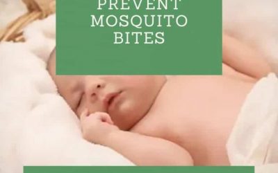 How to Prevent Mosquito Bites While Sleeping at Home