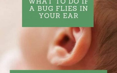 What to Do if A Bug Flies in Your Ear