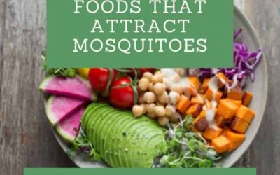 Foods that Attract Mosquitoes