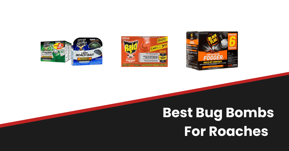 Best Bug Bombs for Roaches