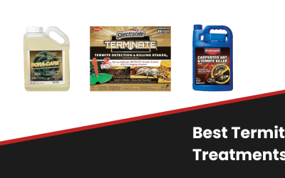 Best termite treatments reviews