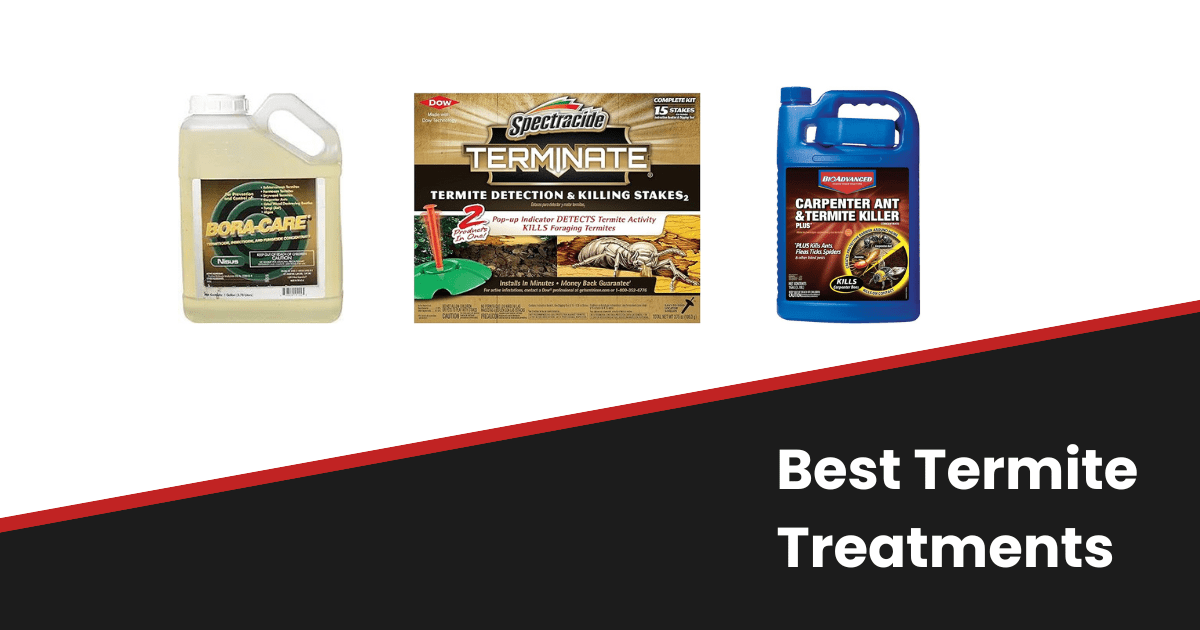 Best termite treatments reviews