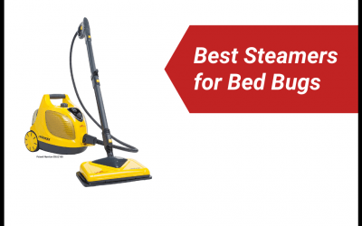 The Best Steamers for Bed Bugs in 2023