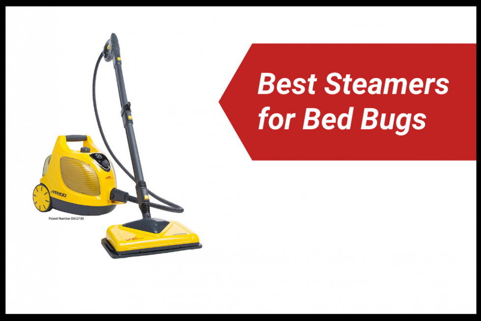 The Best Steamers for Bed Bugs in 2024
