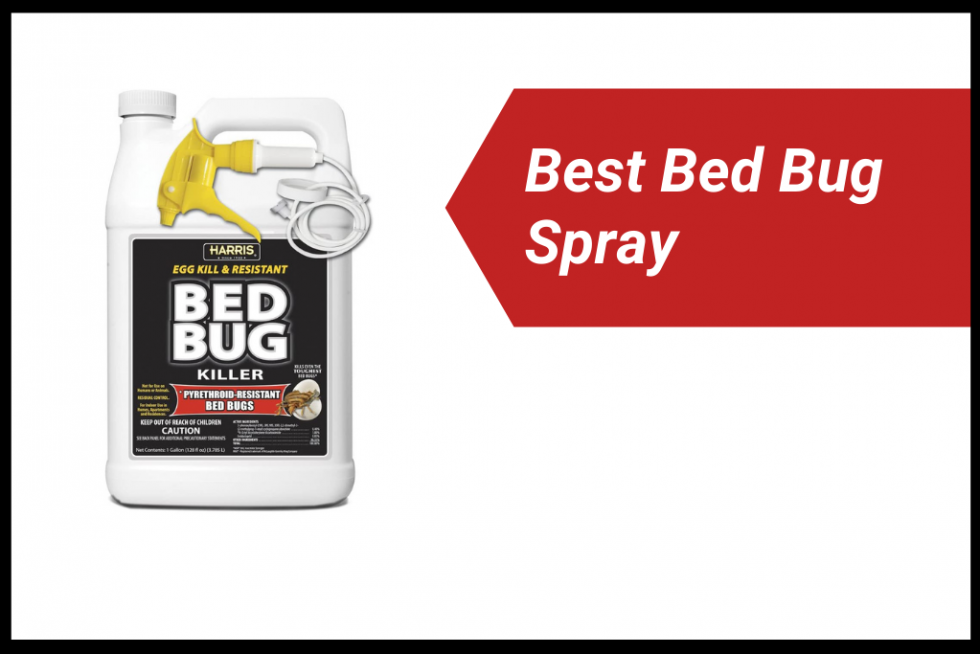 ace hardware safe bed bug spray for mattress