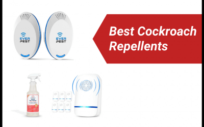6 Best Cockroach Repellents In 2022 [Detailed Reviews]