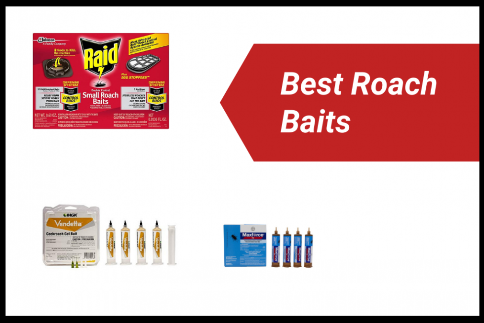 The Best Roach Baits Reviews [Updated, 2022]