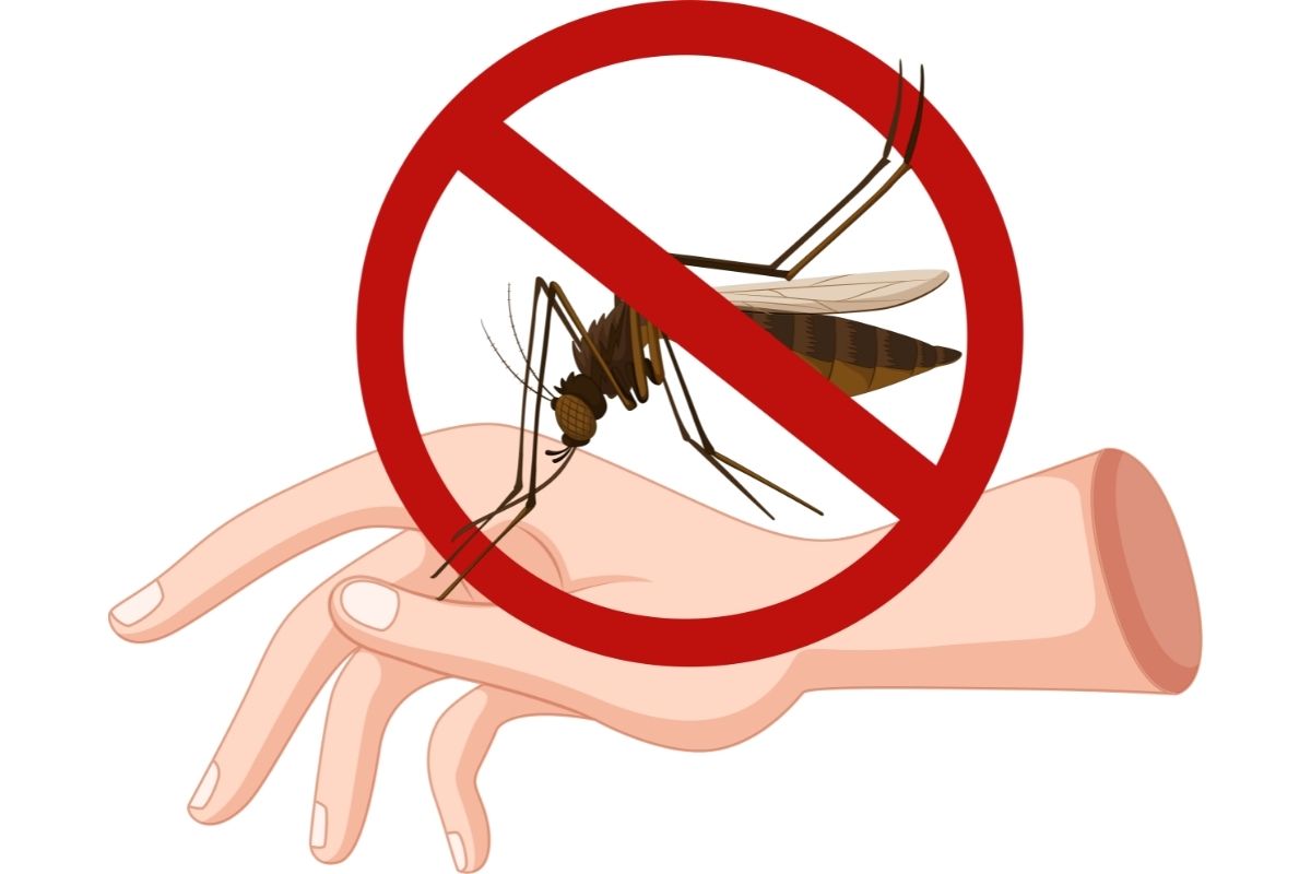 Mosquito Control (3)