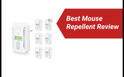 Best Mouse Repellent Reviews 2024 + Buyers Guide