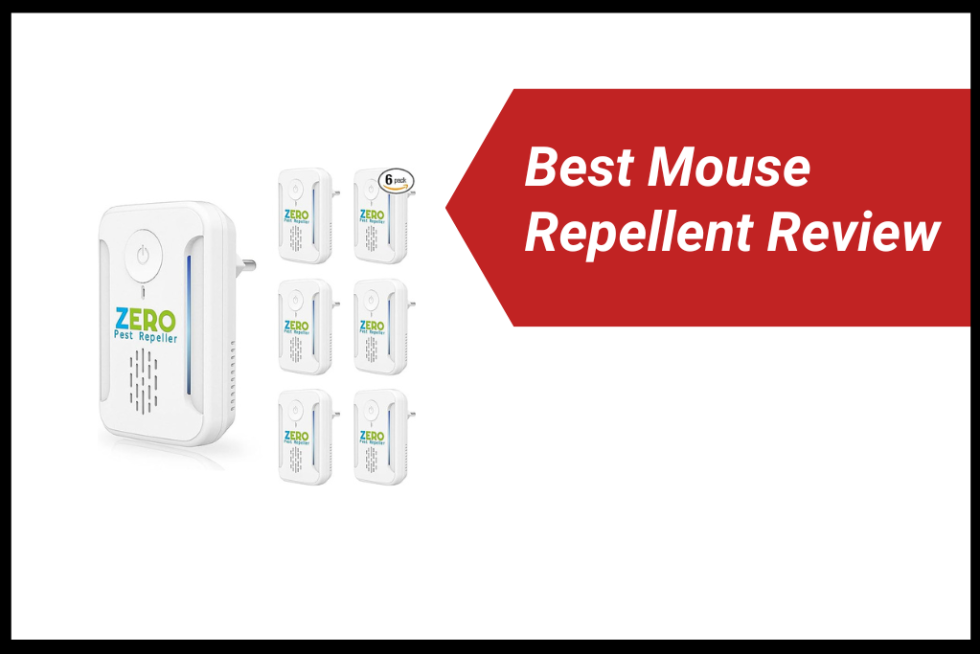 Best Mouse Repellent Reviews 2024 + Buyers Guide